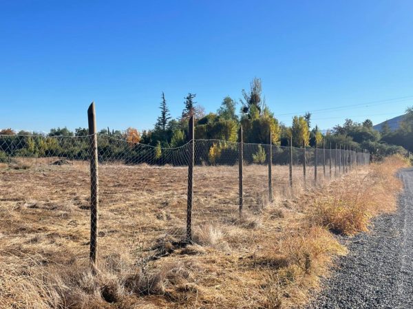 Terreno Con Maravillosas Vistas Mejor Sector Pirque UF4.500 - C1556368379 - Imagen 3