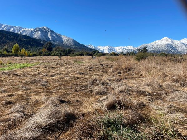 Terreno Con Maravillosas Vistas Mejor Sector Pirque UF4.500 - C1556368379