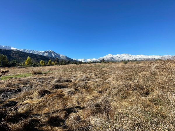 Terreno Con Maravillosas Vistas Mejor Sector Pirque UF4.500 - C1556368379 - Imagen 8