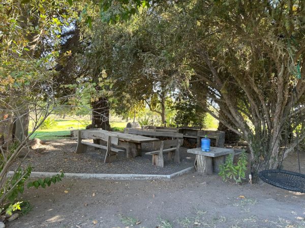Gran, Hermosa Parcela Amoblada En Pirque $3.500.000 C 1589168527 - Imagen 9