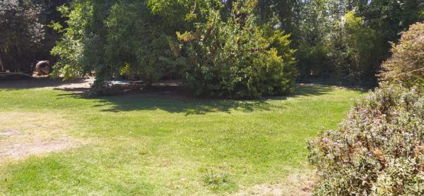 Maravillosa Parcela Con Piscina Pirque $1.450.000 C 1596962147 - Imagen 13