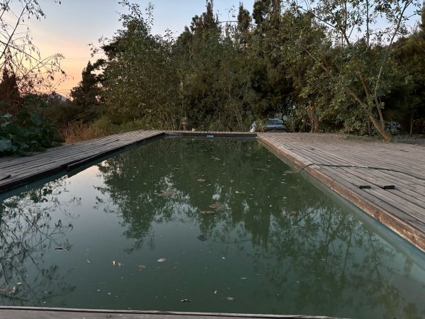 Preciosa Parcela En Buin Con Conectividad A Carretera $1.400.000 C 1595958737 - Imagen 4