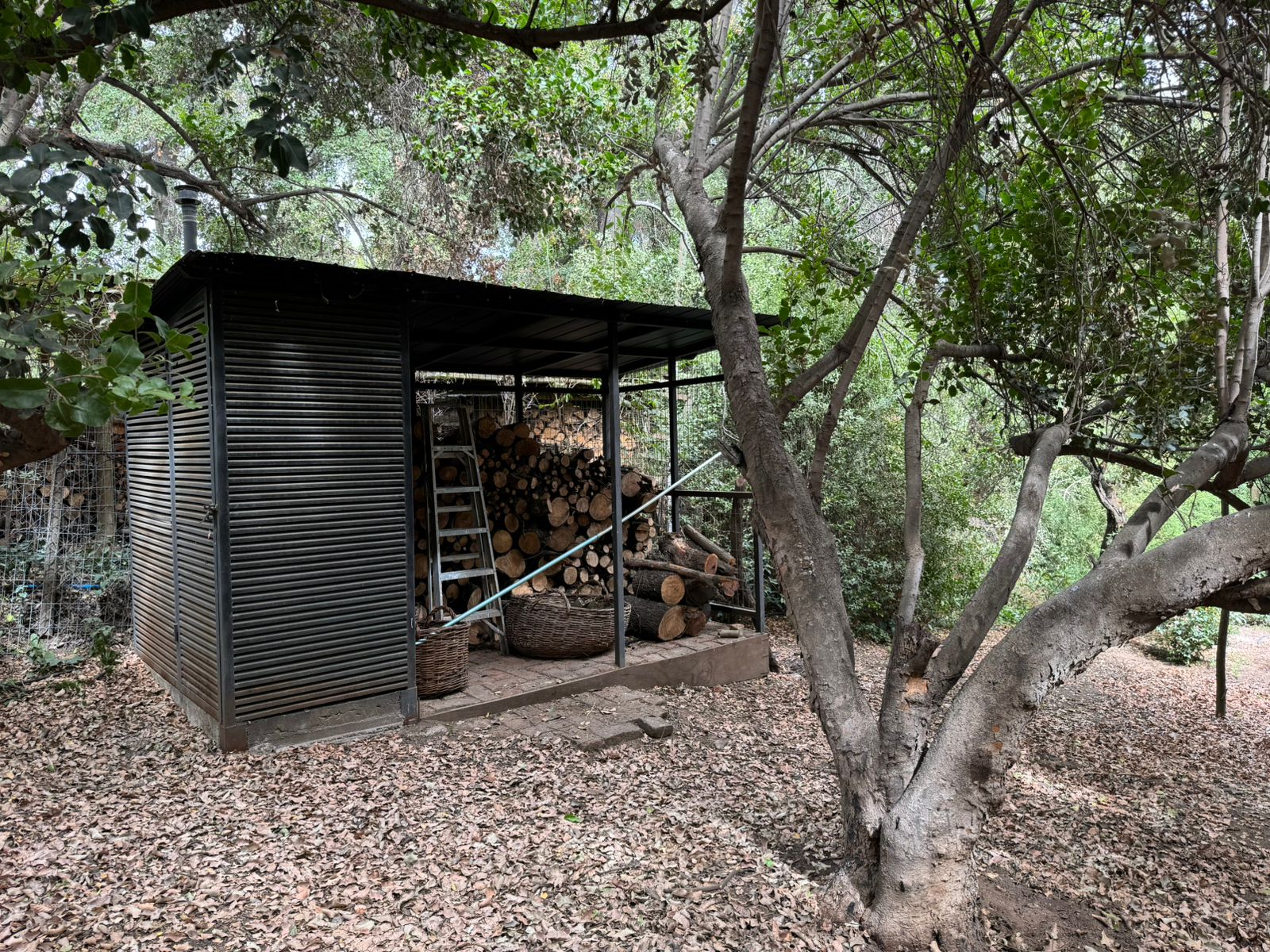 Gran Y Preciosa Parcela En Mejor Sector De Pirque $2.300.000 C 3533363124 - Imagen 12
