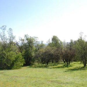 Parcela Sector Más Exclusivo De Pirque $180.000.000 C 4044407170